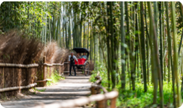 Arashiyama