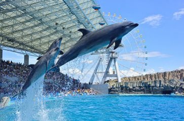  Port of Nagoya Public Aquarium